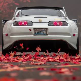 Autumn sports cars wallpaper