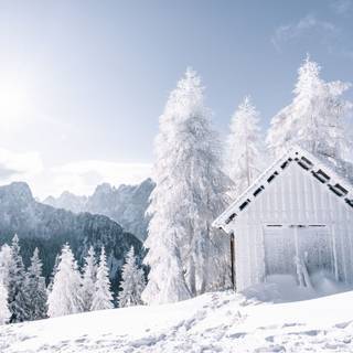 Winter 1366x768 wallpaper
