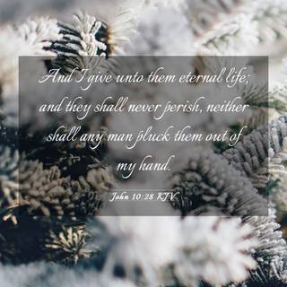 Winter Bible verses wallpaper