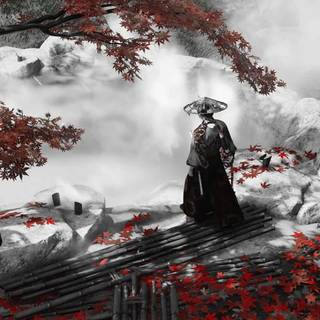 Samurai 4k iPhone wallpaper