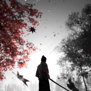 Samurai 4k iPhone wallpaper