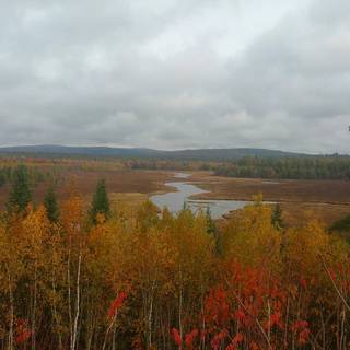 October 4k wallpaper