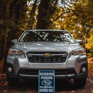 Subaru fall iPhone wallpaper