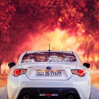 Subaru fall iPhone wallpaper