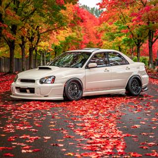 Subaru fall iPhone wallpaper