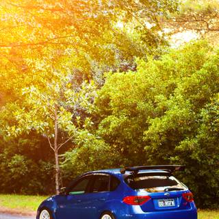 Subaru fall iPhone wallpaper