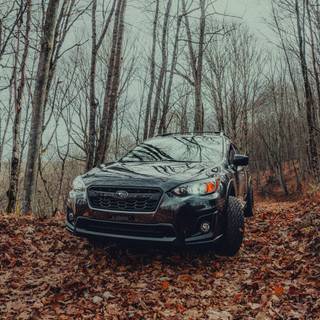 Subaru fall iPhone wallpaper