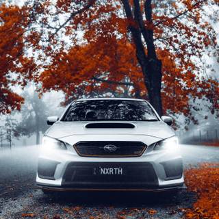 Subaru fall iPhone wallpaper