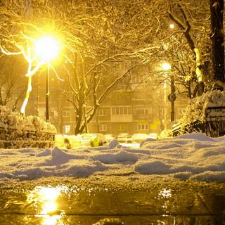 Yellow winter wallpaper