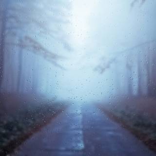 Foggy rain autumn wallpaper
