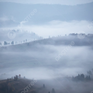 Foggy rain autumn wallpaper