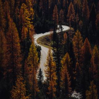 Autumn 4k minimal wallpaper