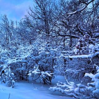 Digital art winter wallpaper