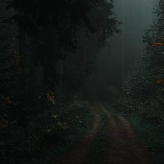 Foggy rain autumn wallpaper