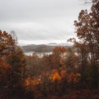 Autumn 4k minimal wallpaper