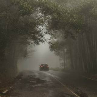 Foggy rain autumn wallpaper