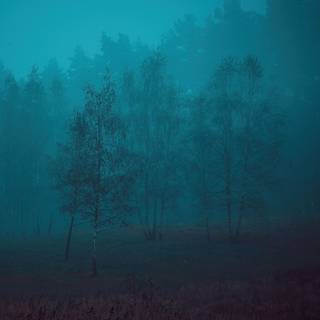 Foggy rain autumn wallpaper