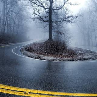 Foggy rain autumn wallpaper