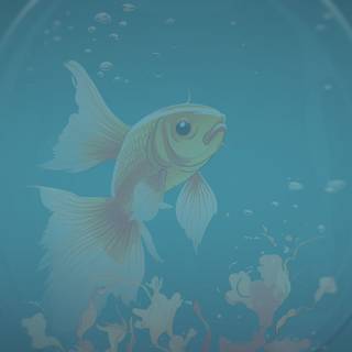 Pet fish wallpaper