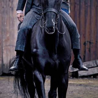Thomas Shelby horse wallpaper