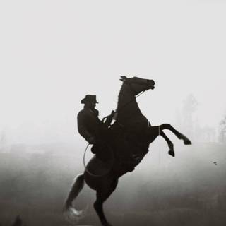 Thomas Shelby horse wallpaper