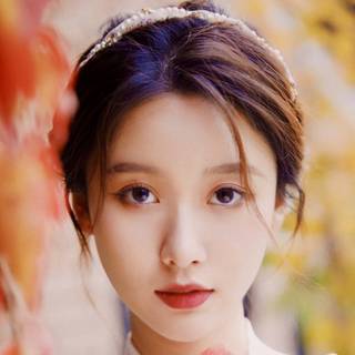 Wang Ying Lu wallpaper