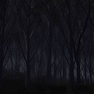 PC dark 4k wallpaper