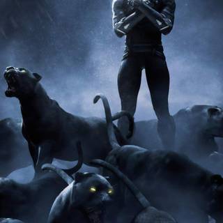 Black Panther 4k phone wallpaper