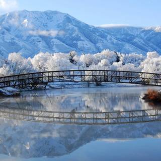 Winter 1600x900 wallpaper