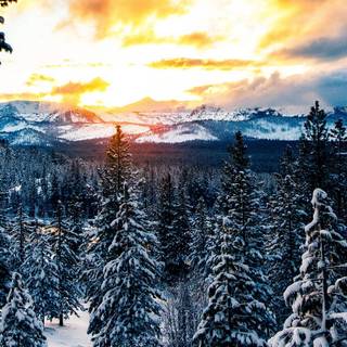 Winter 1600x900 wallpaper