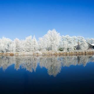Panoramic winter wallpaper