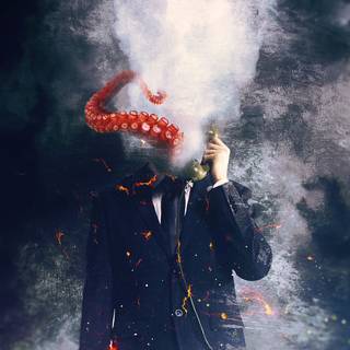 Octopus 4k wallpaper