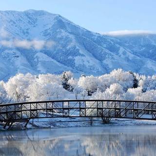 Panoramic winter wallpaper