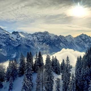 Winter peak wallpaper