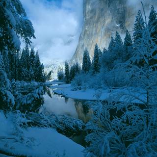 California winter wallpaper