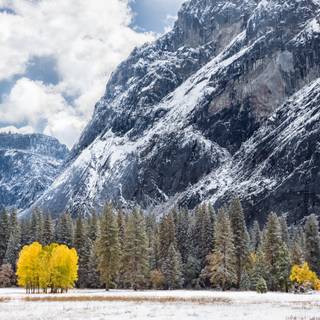 California winter wallpaper