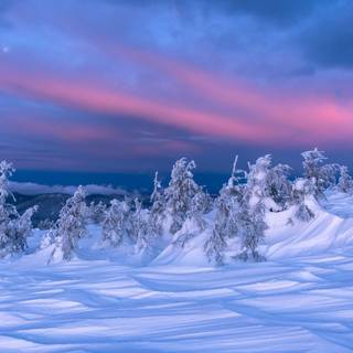 Winter 1600x900 wallpaper