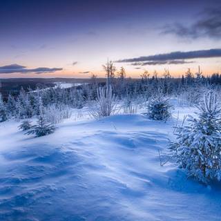 Winter 1600x900 wallpaper