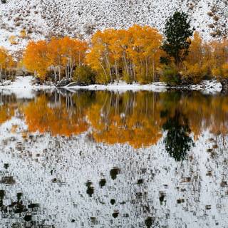 California winter wallpaper