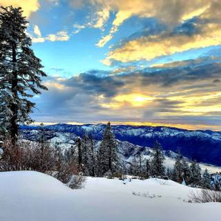 California winter wallpaper