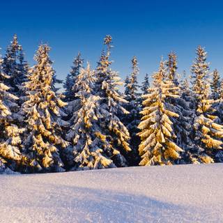 Winter 1600x900 wallpaper