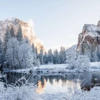 California winter wallpaper