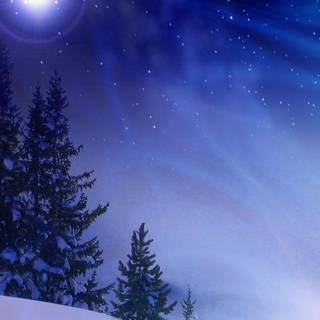 Winter 1600x900 wallpaper