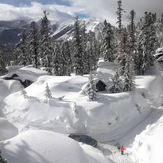 California winter wallpaper