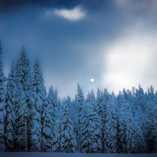 California winter wallpaper