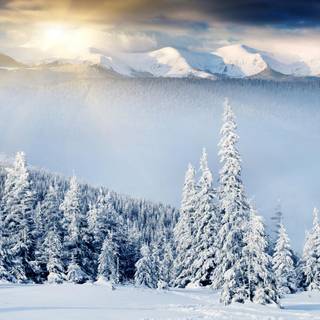 Panoramic winter wallpaper
