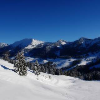 Panoramic winter wallpaper