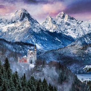 Panoramic winter wallpaper