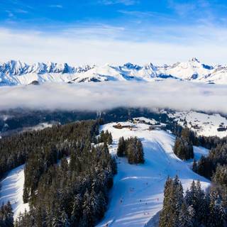 Panoramic winter wallpaper