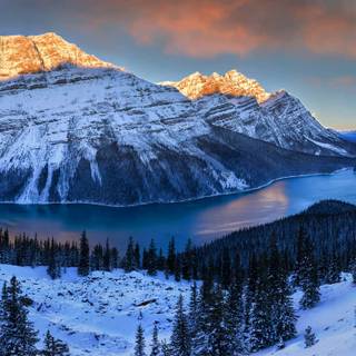 Panoramic winter wallpaper